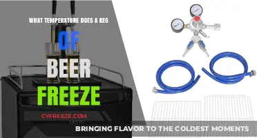 Preventing Frozen Kegs: Understanding Beer's Freezing Point for Optimal Storage