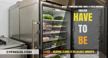 Optimal Restaurant Freezer Temperature: Essential Guidelines for Food Safety