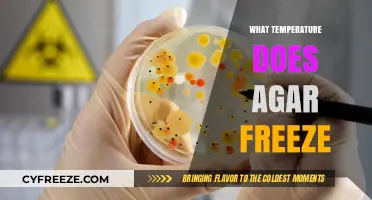 Understanding Agar's Freezing Point: Temperature Thresholds for Solidification