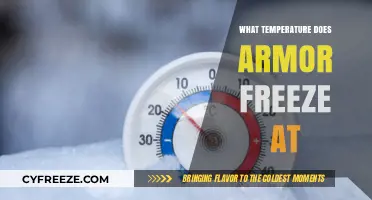 At What Temperature Does Armor Freeze and Become Brittle?