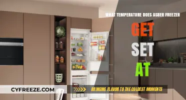 Optimal Asber Freezer Temperature Settings for Efficient Food Preservation