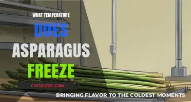 When Does Asparagus Freeze? Understanding Optimal Storage Temperatures