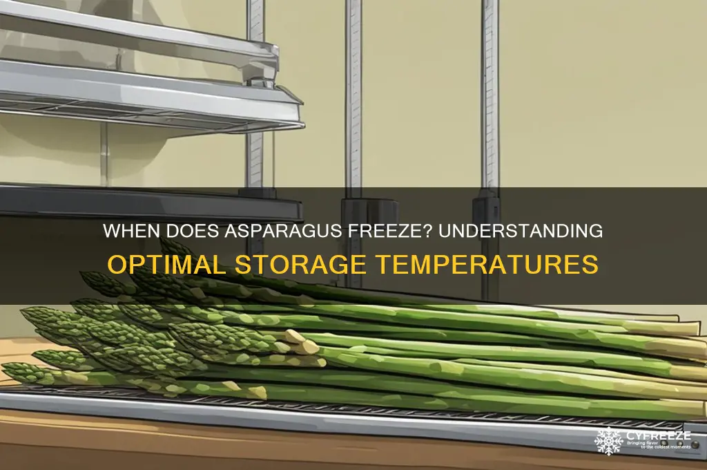 what temperature does asparagus freeze
