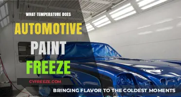 Automotive Paint Freezing Point: What Temperature Causes It to Freeze?