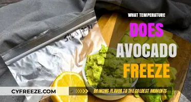 Avocado Freezing Point: Ideal Temperature to Preserve Freshness