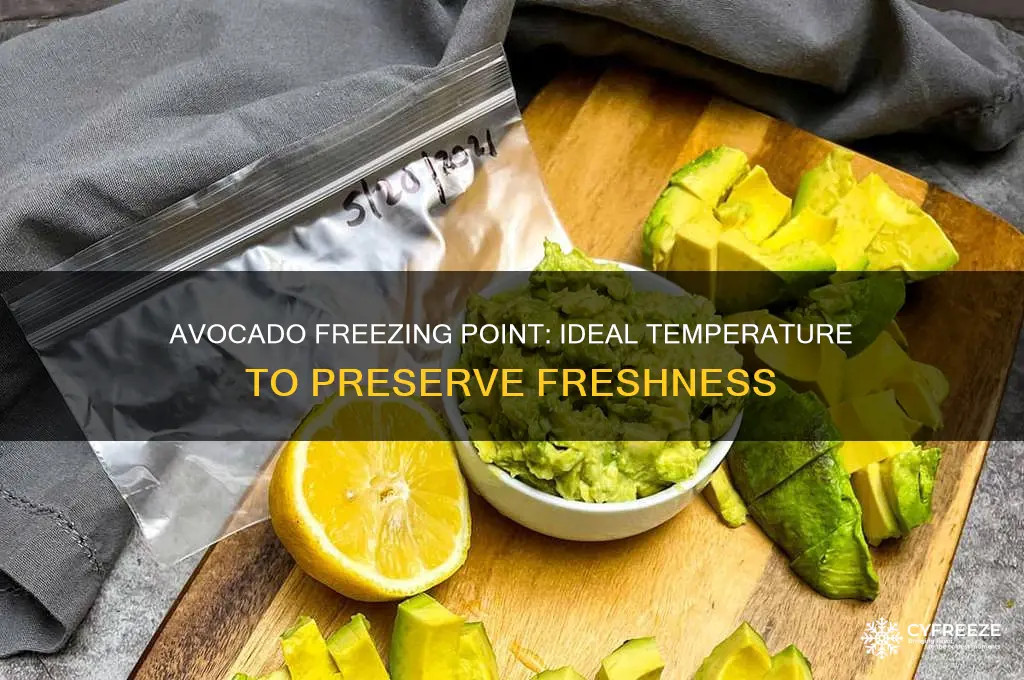 what temperature does avocado freeze