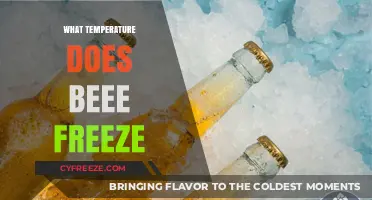 At What Temperature Does Beer Freeze? A Chilling Guide