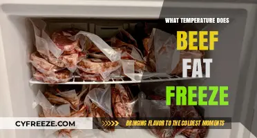 Understanding Beef Fat Freezing: Optimal Temperature for Preservation and Storage