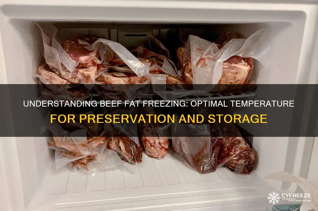 what temperature does beef fat freeze