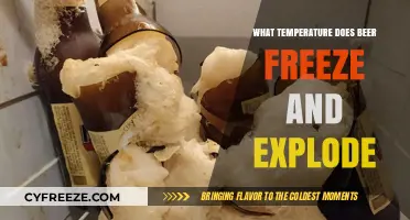 Beer's Freezing Point: When Does It Freeze and Explode?