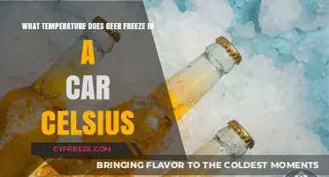At What Celsius Temperature Does Beer Freeze in Your Car?