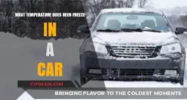 What Temperature Does Beer Freeze in a Car? Find Out Here