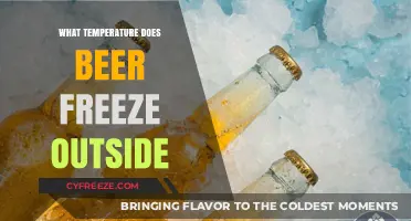 Chilling Truth: At What Temperature Does Beer Freeze Outside?
