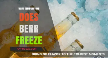 At What Temperature Does Beer Freeze? A Complete Guide