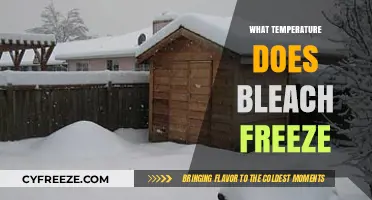 Bleach Freezing Point: Understanding When and How Bleach Freezes
