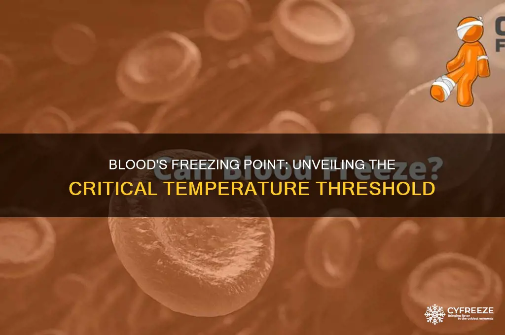 what temperature does blood freeze at