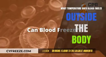 When Does Blood Freeze Outside the Body? Temperature Threshold Explained
