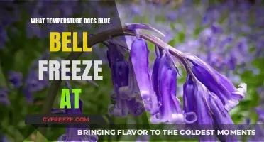 Blue Bell Ice Cream: Ideal Freezing Temperature for Perfect Texture