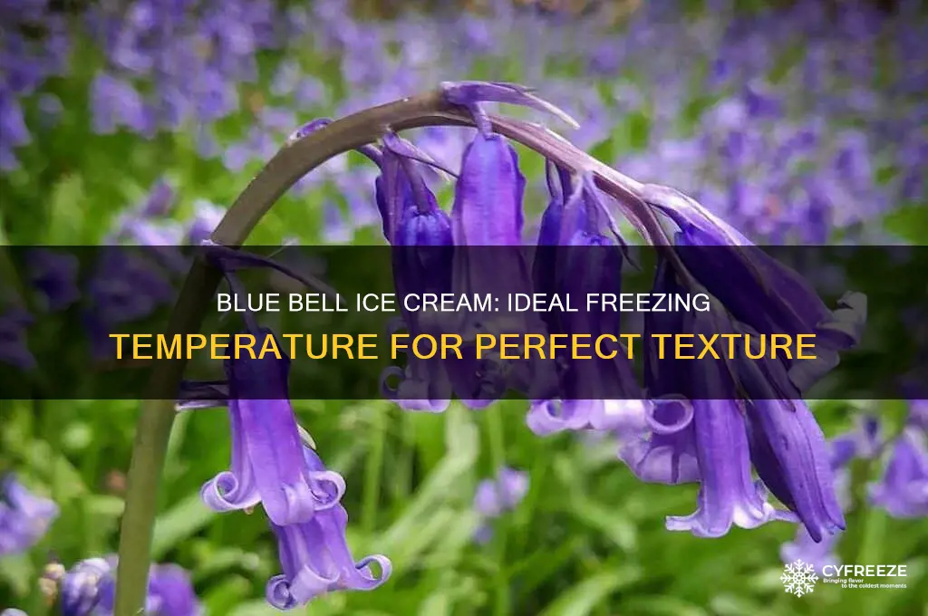 what temperature does blue bell freeze at