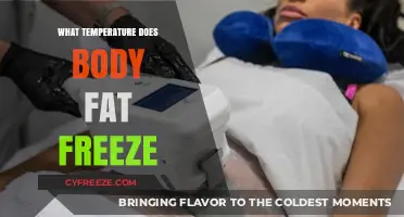 At What Temperature Does Body Fat Freeze? Facts and Insights