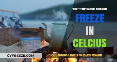 Boiling Point Meets Freezing: Understanding Celsius Temperature Thresholds