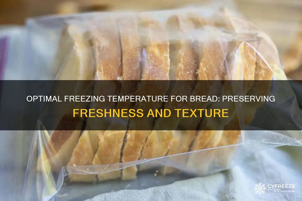 what temperature does bread freeze