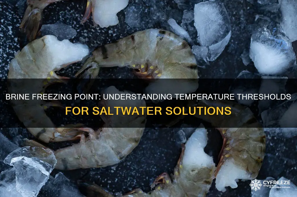 what temperature does brine freeze