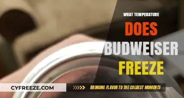 At What Temperature Does Budweiser Freeze? A Beer Lover's Guide
