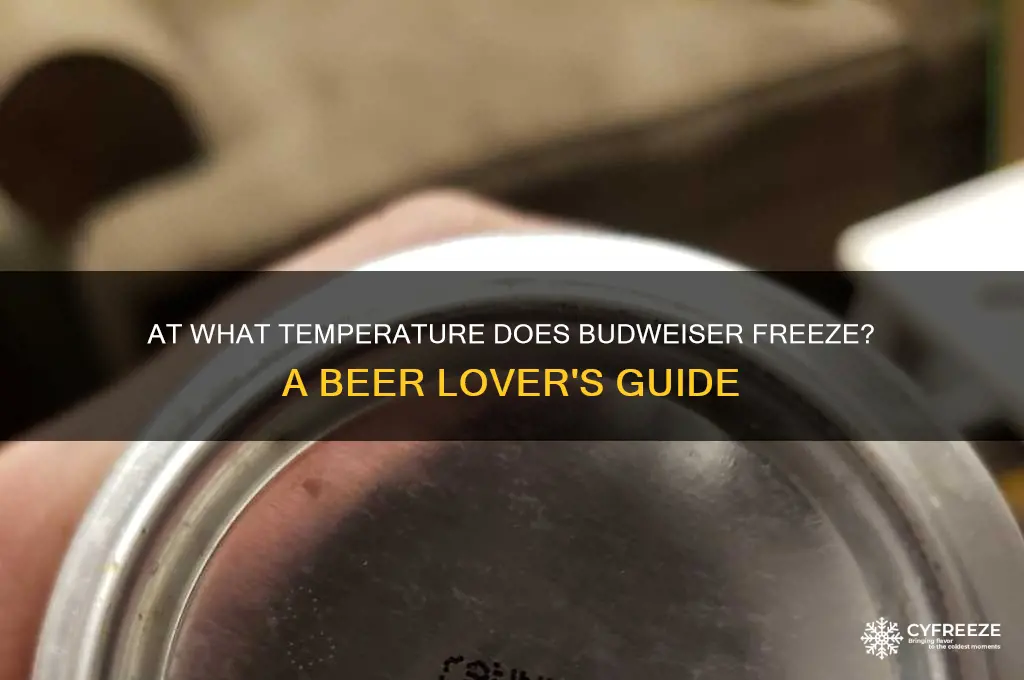 what temperature does budweiser freeze