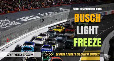 Busch Light Freezing Point: When Does It Turn to Ice?