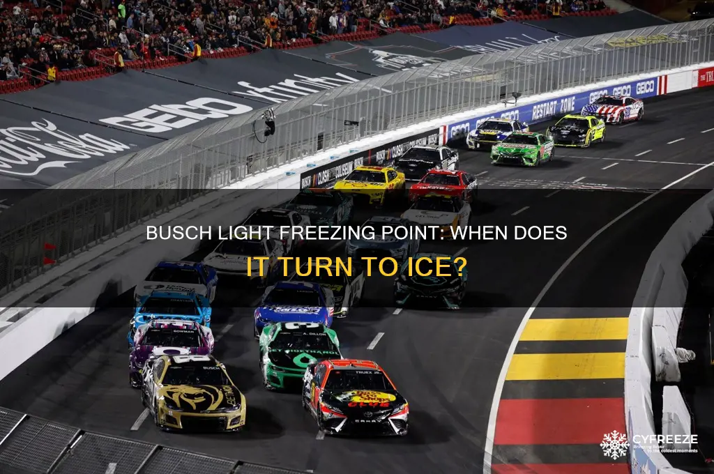 what temperature does busch light freeze