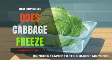 Cabbage Freezing Point: Optimal Temperature to Preserve Freshness