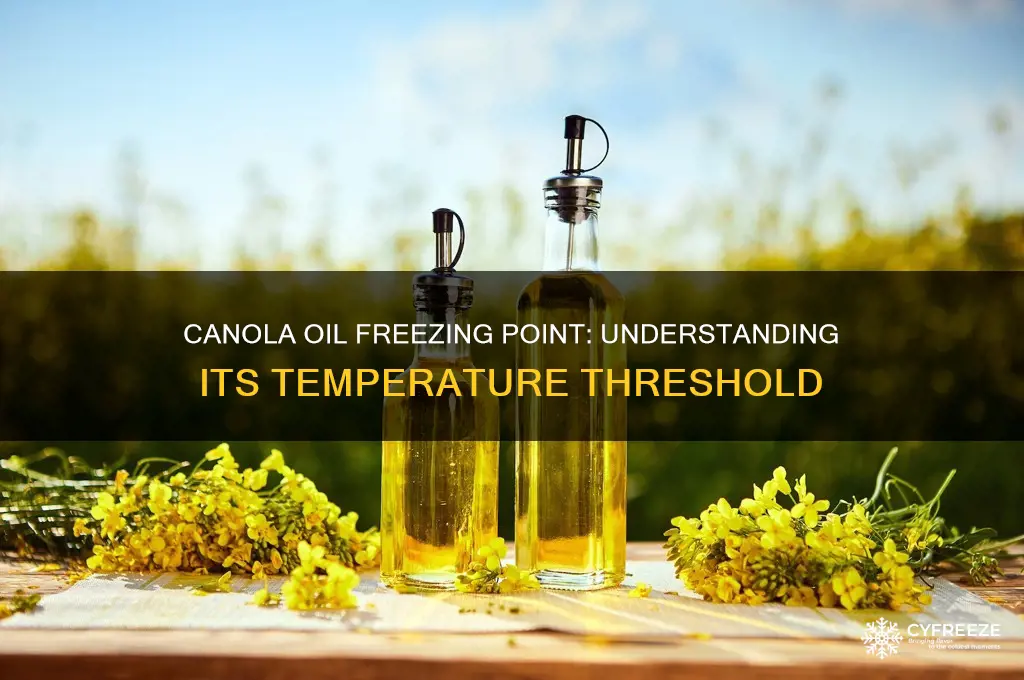 what temperature does canola oil freeze
