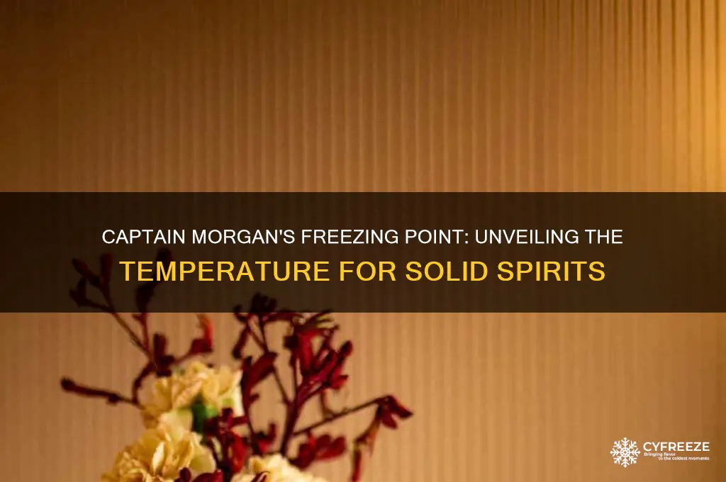 what temperature does captain morgan freeze at