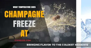 Champagne's Freezing Point: Unveiling the Temperature for Perfectly Preserved Bubbles
