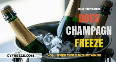Champagne's Freezing Point: Unveiling the Chilling Temperature for Bubbly Bliss
