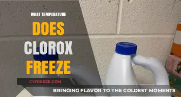 At What Temperature Does Clorox Bleach Freeze? Explained