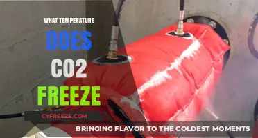 Exploring CO2's Freezing Point: Temperature Secrets Unveiled