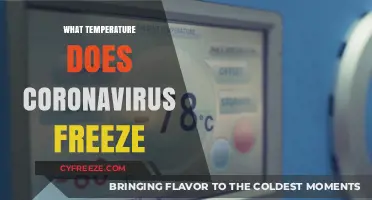 Does Cold Weather Freeze Coronavirus? Exploring Temperature Impact on Survival