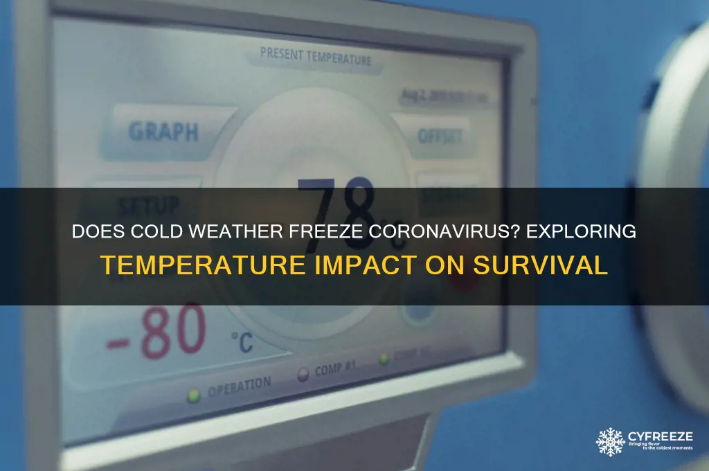 what temperature does coronavirus freeze