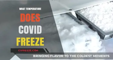 COVID-19 and Cold Weather: At What Temperature Does the Virus Freeze?