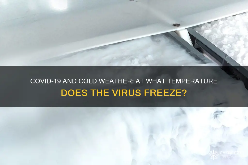what temperature does covid freeze