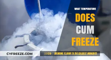 Exploring the Chilling Point: At What Temperature Does Cum Freeze?