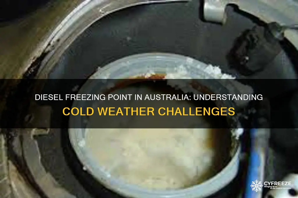 what temperature does diesel freeze australia