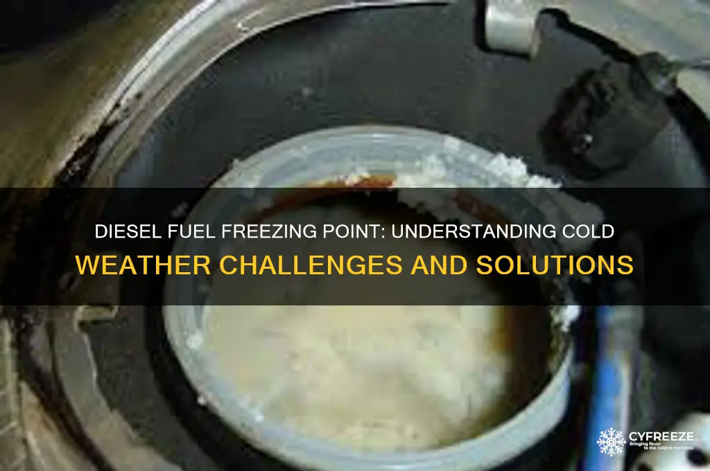what temperature does diesle freeze