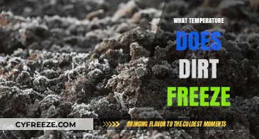 When Does Dirt Freeze? Understanding Soil Freezing Temperatures and Factors