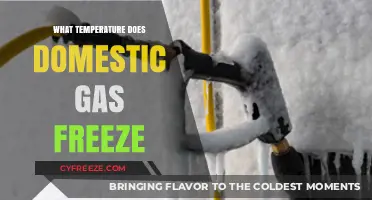 Understanding Domestic Gas Freezing Point: Temperature Threshold Explained