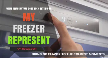 Understanding Freezer Settings: Decoding Temperatures for Optimal Food Storage