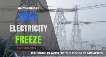 Electricity and Extreme Cold: Does It Freeze at a Certain Temperature?