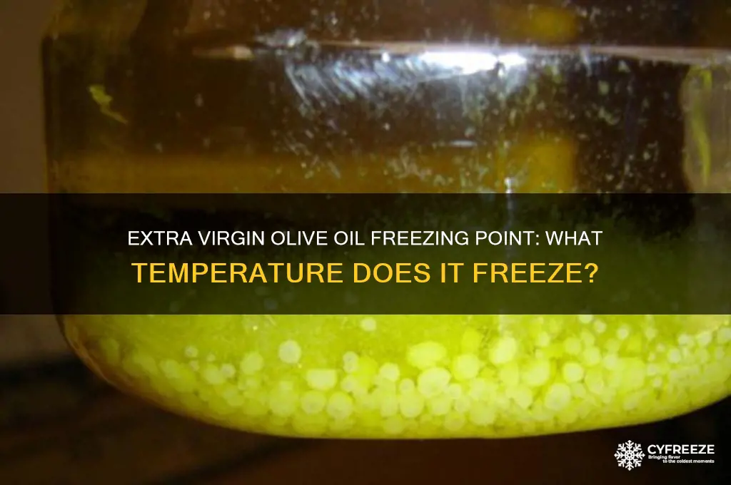 what temperature does extra virgin olive oil freeze